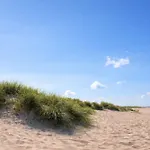 Silbermoewe
