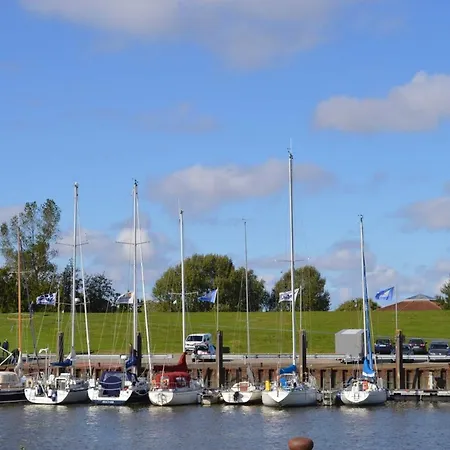 Silbermoewe *